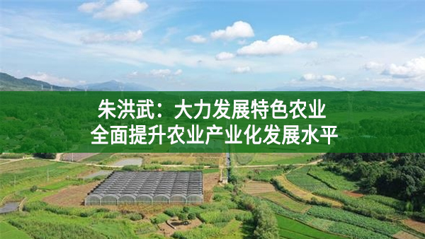 朱洪武：大力發(fā)展特色農(nóng)業(yè) 全面提升農(nóng)業(yè)產(chǎn)業(yè)化發(fā)展水平
