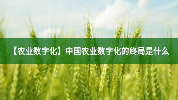 中國農(nóng)業(yè)數(shù)字化的終局是什么