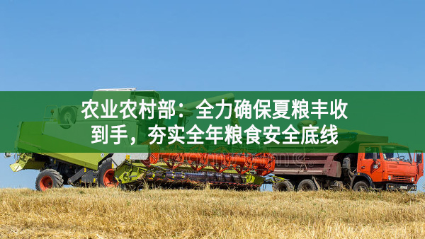 農(nóng)業(yè)農(nóng)村部：全力確保夏糧豐收到手，夯實全年糧食安全底線