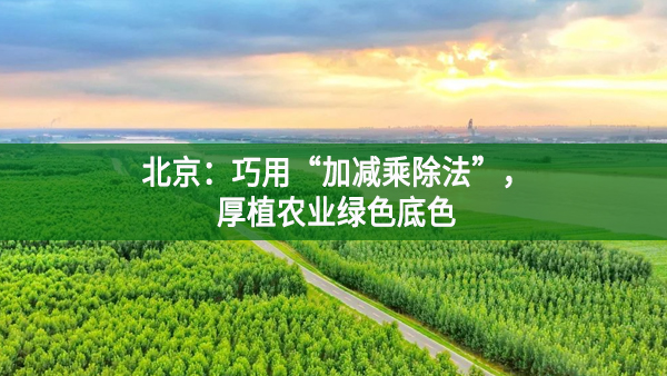 北京：巧用“加減乘除法”，厚植農(nóng)業(yè)綠色底色