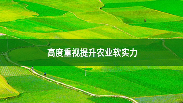 高度重視提升農(nóng)業(yè)軟實(shí)力