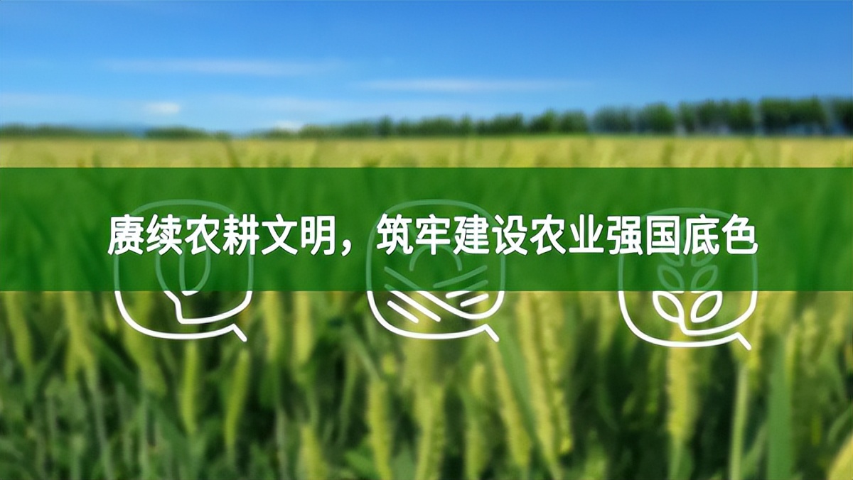 賡續(xù)農(nóng)耕文明，筑牢建設(shè)農(nóng)業(yè)強(qiáng)國(guó)底色