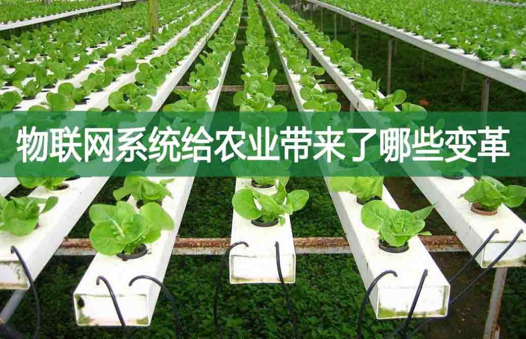 物聯(lián)網(wǎng)系統(tǒng)給農(nóng)業(yè)帶來了哪些變革
