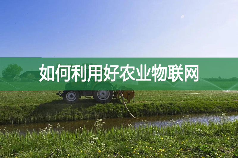如何利用好農業(yè)物聯(lián)網