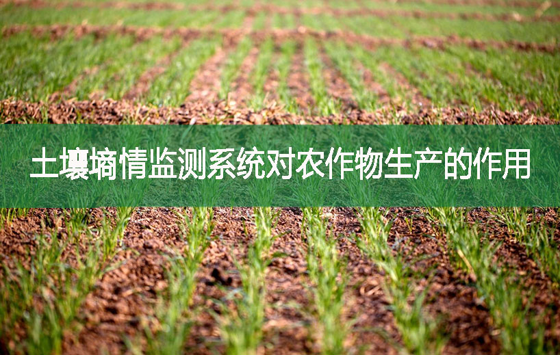土壤墑情監(jiān)測系統(tǒng)對農(nóng)作物生產(chǎn)的作用