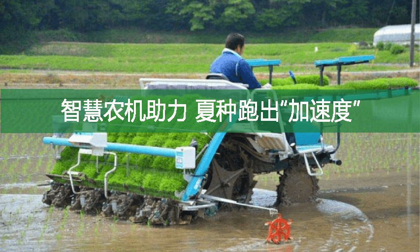 智慧農(nóng)機(jī)助力 夏種跑出“加速度”