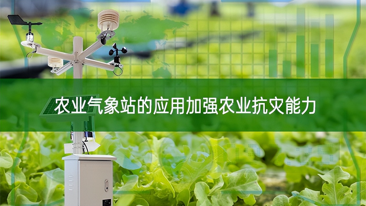 農(nóng)業(yè)氣象站的應(yīng)用加強農(nóng)業(yè)抗災(zāi)能力