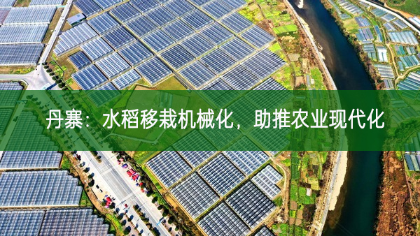 丹寨：水稻移栽機械化 助推農業現代化