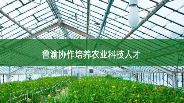 魯渝協作培養農業科技人才