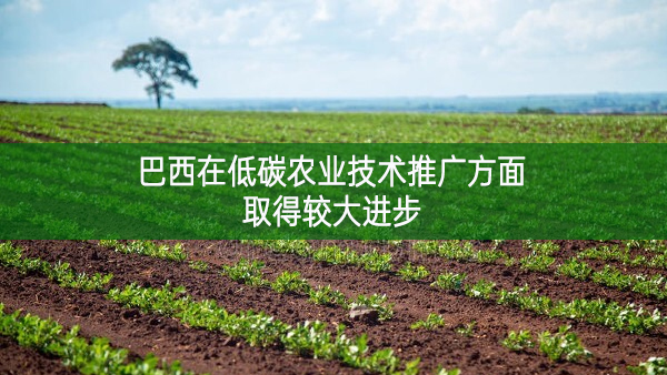 巴西在低碳農(nóng)業(yè)技術(shù)推廣方面取得較大進(jìn)步