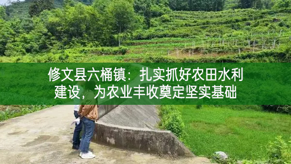 修文縣六桶鎮(zhèn)：扎實抓好農(nóng)田水利建設(shè)，為農(nóng)業(yè)豐收奠定堅實基礎(chǔ)