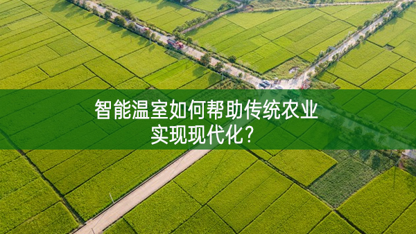 智能溫室如何幫助傳統農業實現現代化？
