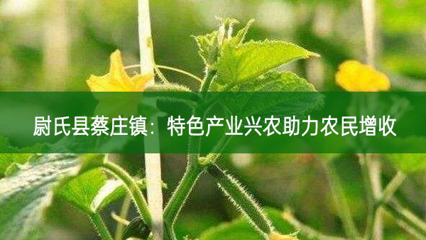 尉氏縣蔡莊鎮(zhèn)：特色產(chǎn)業(yè)興農(nóng)助力農(nóng)民增收