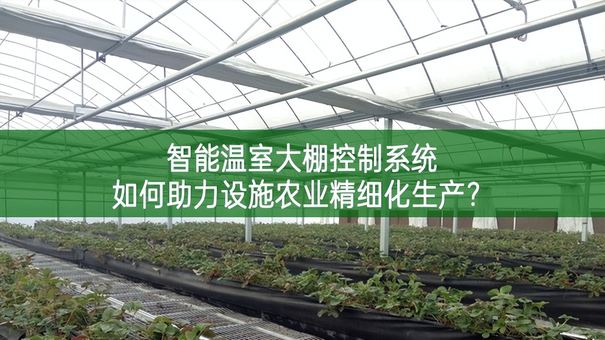 智能溫室大棚控制系統(tǒng)如何助力設(shè)施農(nóng)業(yè)精細(xì)化生產(chǎn)?
