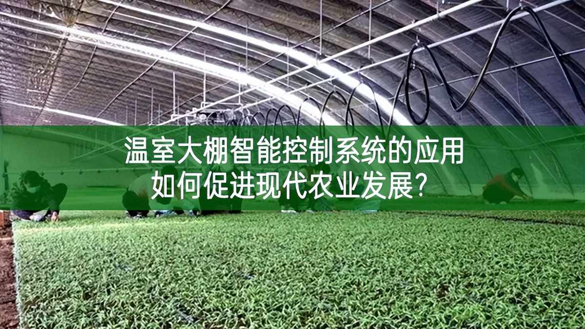 溫室大棚智能控制系統的應用如何促進現代農業發展?
