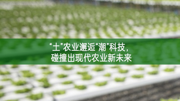 “土”農(nóng)業(yè)邂逅“潮”科技，碰撞出現(xiàn)代農(nóng)業(yè)新未來(lái)
