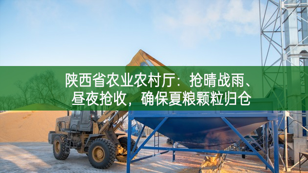 陜西省農(nóng)業(yè)農(nóng)村廳：搶晴戰(zhàn)雨、晝夜搶收，確保夏糧顆粒歸倉