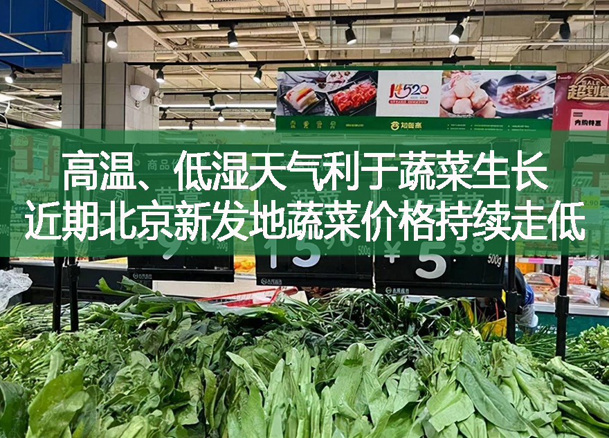 高溫、低濕天氣利于蔬菜生長，近期北京新發地蔬菜價格持續走低