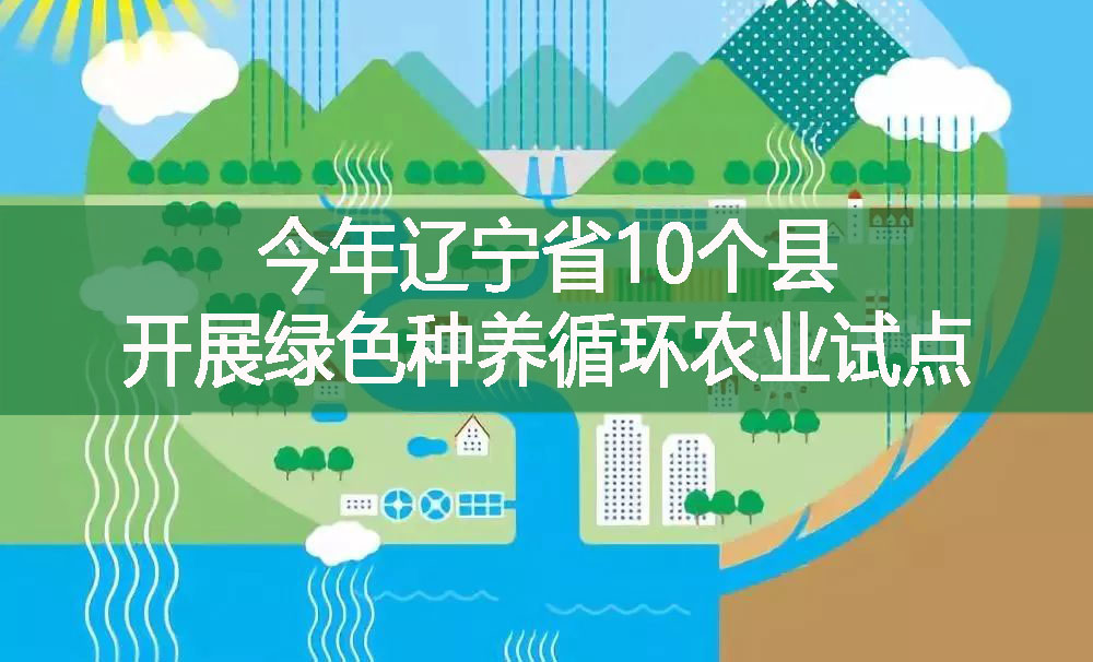 今年遼寧省10個縣開展綠色種養循環農業試點