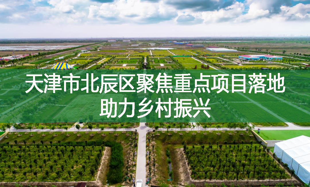 天津市北辰區聚焦重點項目落地 助力鄉村振興