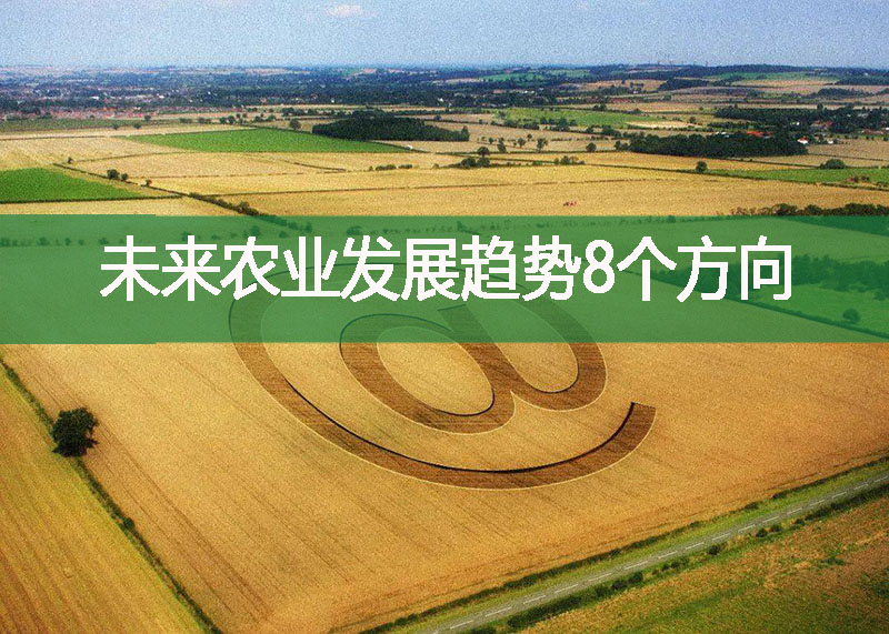 未來農(nóng)業(yè)發(fā)展趨勢8個方向
