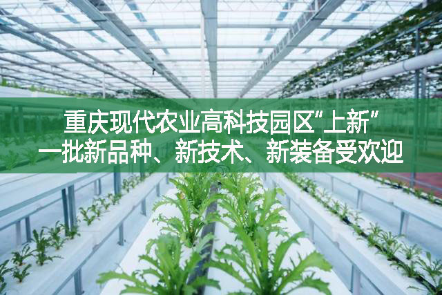 重慶現代農業高科技園區“上新” 一批新品種、新技術、新裝備受歡迎