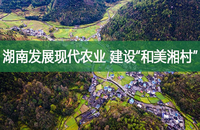 湖南發展現代農業 建設“和美湘村”