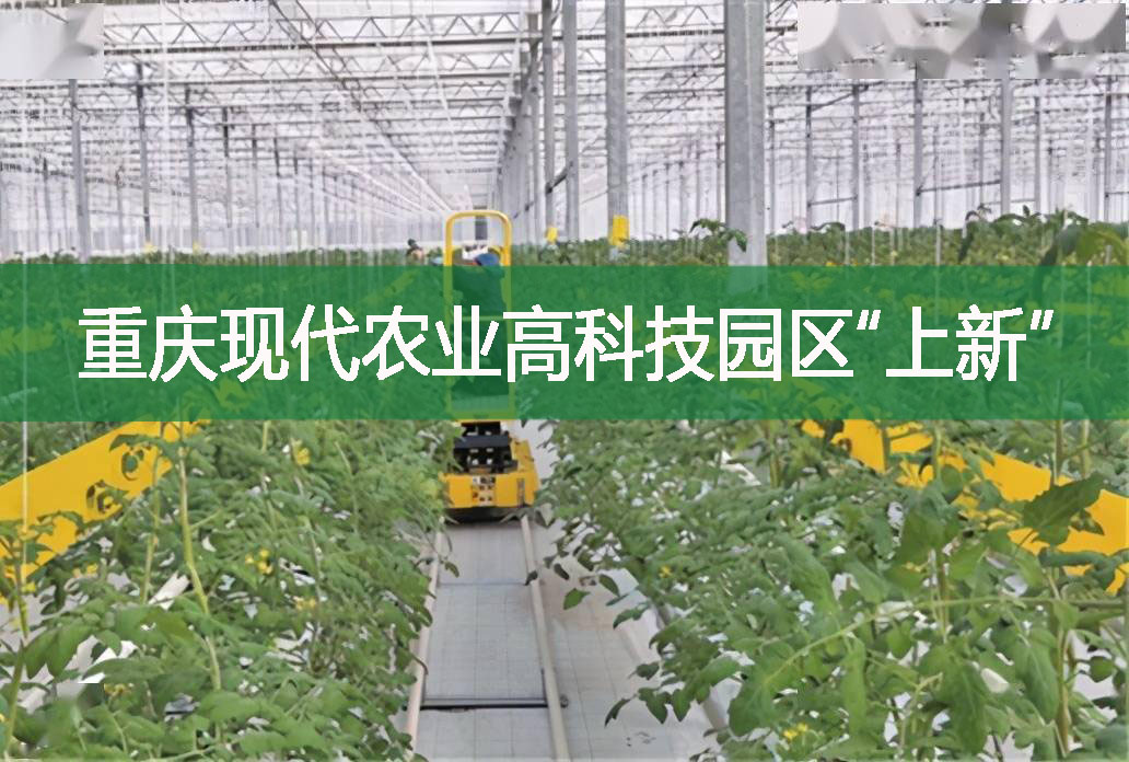 重慶現代農業高科技園區“上新”