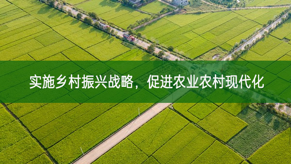 實(shí)施鄉(xiāng)村振興戰(zhàn)略，促進(jìn)農(nóng)業(yè)農(nóng)村現(xiàn)代化