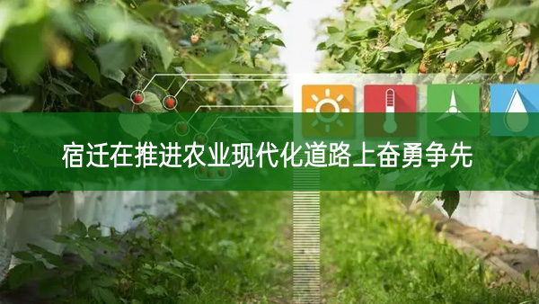 宿遷在推進農(nóng)業(yè)現(xiàn)代化道路上奮勇爭先