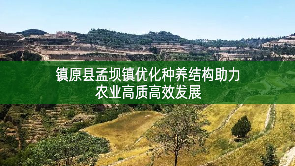 鎮(zhèn)原縣孟壩鎮(zhèn)優(yōu)化種養(yǎng)結(jié)構(gòu)助力農(nóng)業(yè)高質(zhì)高效發(fā)展