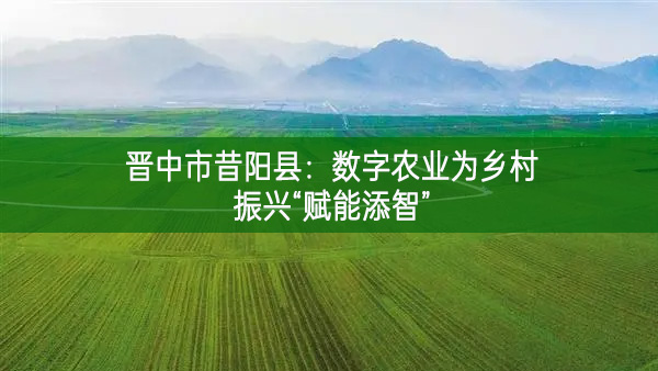 晉中市昔陽縣：數(shù)字農(nóng)業(yè)為鄉(xiāng)村振興“賦能添智”