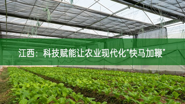 江西：科技賦能讓農(nóng)業(yè)現(xiàn)代化“快馬加鞭”