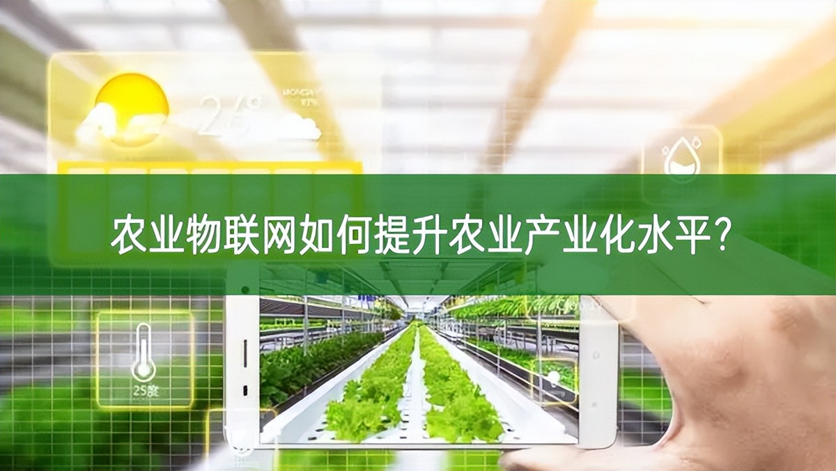 農(nóng)業(yè)物聯(lián)網(wǎng)如何提升農(nóng)業(yè)產(chǎn)業(yè)化水平?