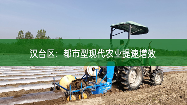 漢臺區(qū)：都市型現(xiàn)代農(nóng)業(yè)提速增效