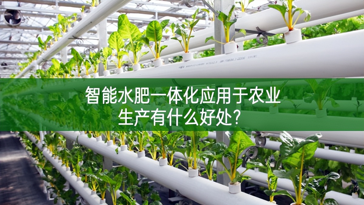 智能水肥一體化應用于農業生產有什么好處?