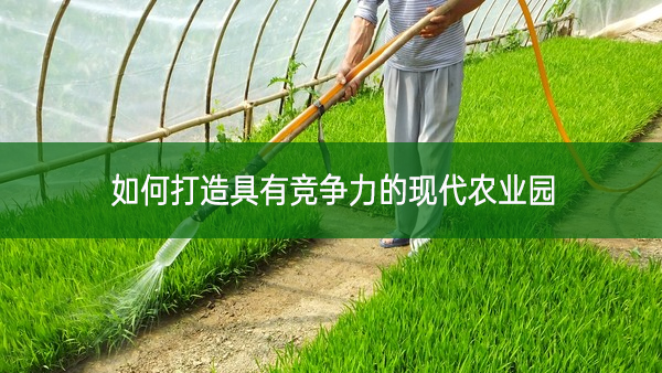 如何打造具有競爭力的現(xiàn)代農(nóng)業(yè)園