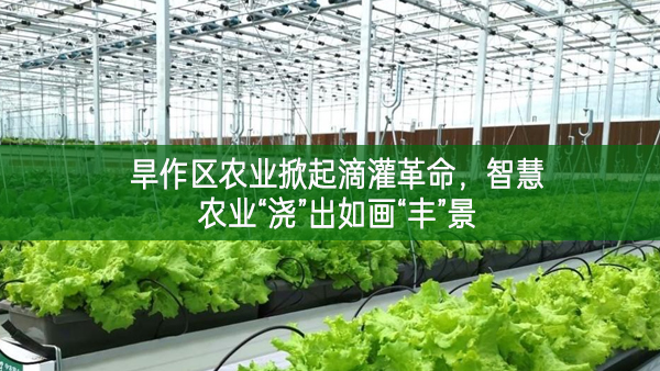 旱作區(qū)農(nóng)業(yè)掀起滴灌革命 智慧農(nóng)業(yè)“澆”出如畫“豐”景