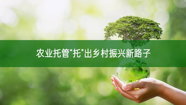 農(nóng)業(yè)托管“托”出鄉(xiāng)村振興新路子