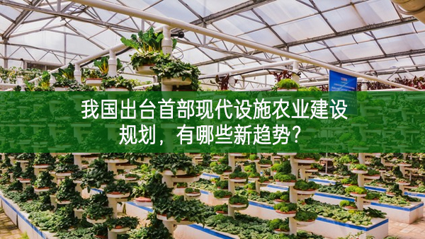 我國出臺首部現(xiàn)代設(shè)施農(nóng)業(yè)建設(shè)規(guī)劃，有哪些新趨勢？