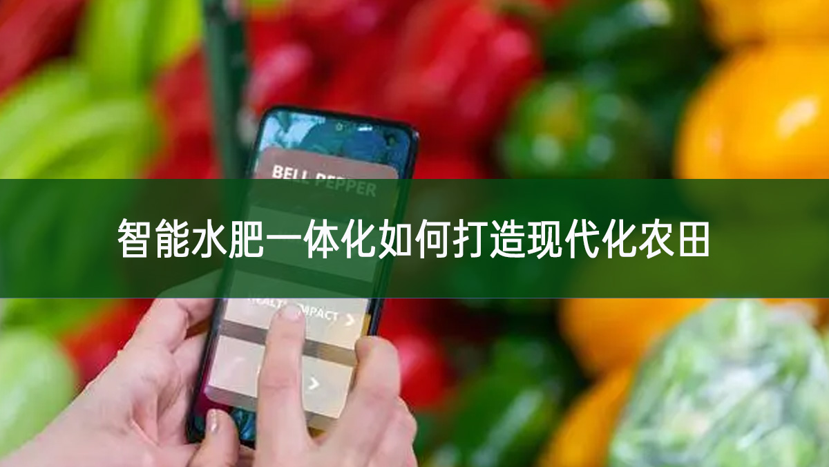 智能水肥一體化如何打造現(xiàn)代化農田