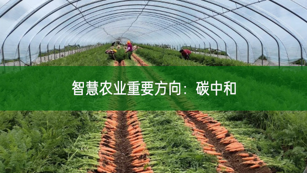 智慧農(nóng)業(yè)重要方向：碳中和