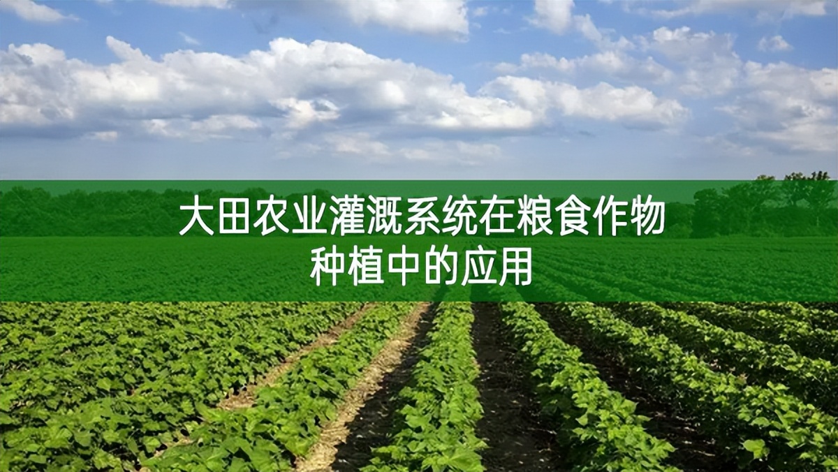大田農業灌溉系統在糧食作物種植中的應用
