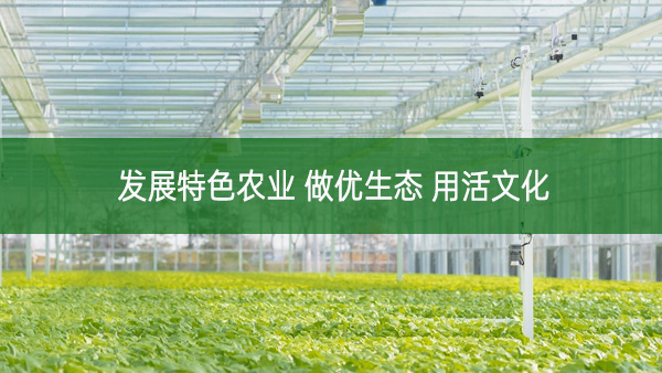 發展特色農業 做優生態 用活文化
