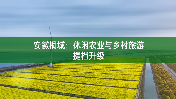 安徽桐城：休閑農(nóng)業(yè)與鄉(xiāng)村旅游提檔升級(jí)