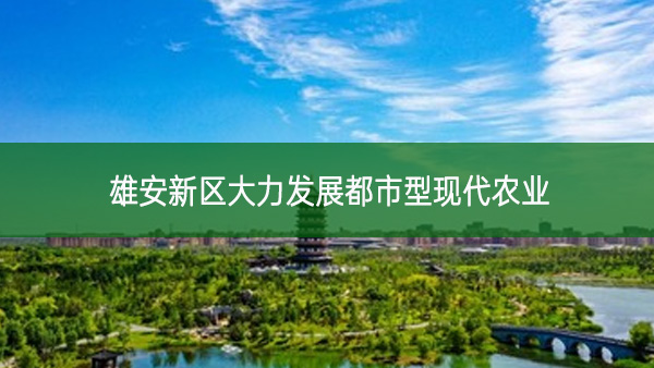 雄安新區(qū)大力發(fā)展都市型現(xiàn)代農(nóng)業(yè)