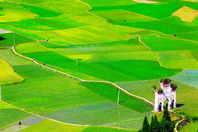 廣州花都赤坭鎮(zhèn)：大力發(fā)展都市現(xiàn)代農(nóng)業(yè)，繪就鄉(xiāng)村振興“實(shí)景圖”