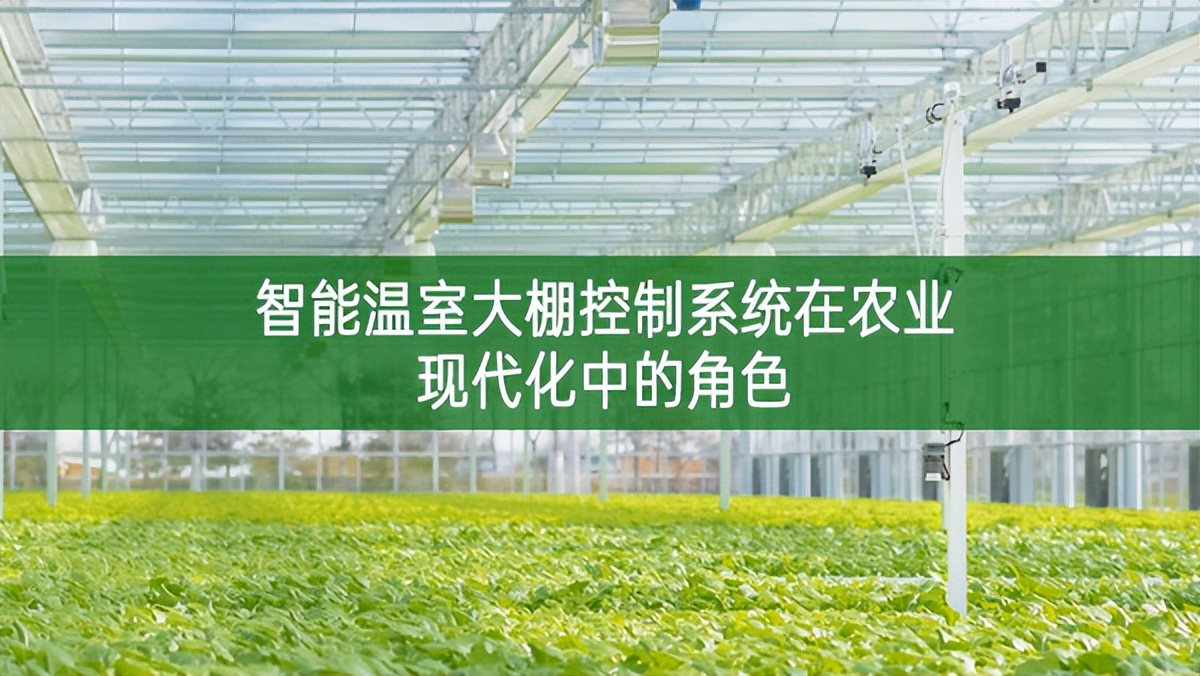 智能溫室大棚控制系統(tǒng)在農(nóng)業(yè)現(xiàn)代化中的角色