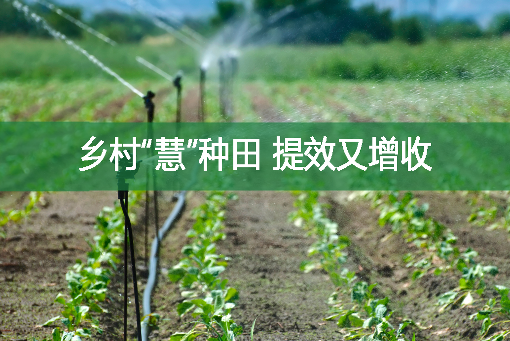 鄉村“慧”種田 提效又增收