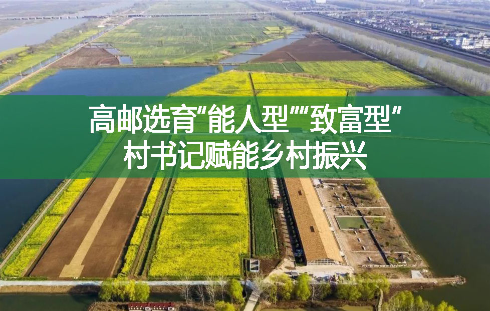 高郵選育“能人型”“致富型”村書記賦能鄉村振興